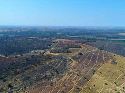 Imagem da notícia Incêndio causado por caminhão de algodão em Coxim destrói mais de 2,3 mil hectares e leva MPMS a instaurar inquérito